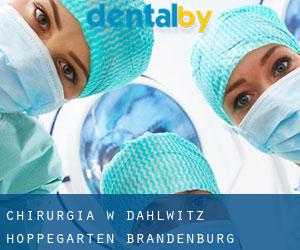 Chirurgia w Dahlwitz-Hoppegarten (Brandenburg)