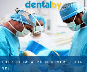Chirurgia w Palm River-Clair Mel