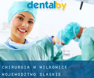 Chirurgia w Wilkowice (Województwo śląskie)