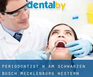 Periodontist w Am Schwarzen Busch (Mecklenburg-Western Pomerania)