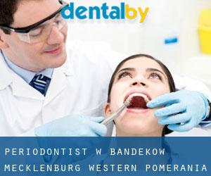 Periodontist w Bandekow (Mecklenburg-Western Pomerania)