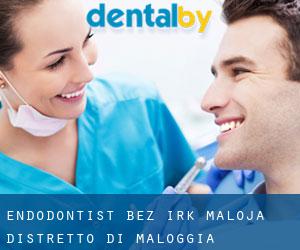 Endodontist bez irk Maloja / Distretto di Maloggia