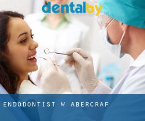 Endodontist w Abercraf
