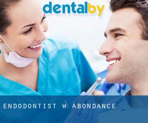 Endodontist w Abondance