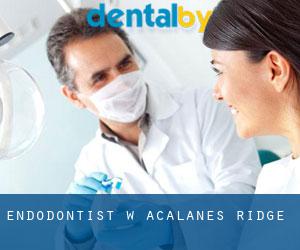 Endodontist w Acalanes Ridge
