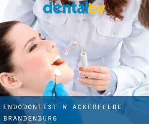 Endodontist w Ackerfelde (Brandenburg)