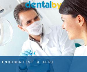 Endodontist w Acri