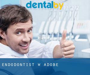 Endodontist w Adobe