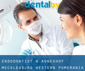 Endodontist w Agneshof (Mecklenburg-Western Pomerania)