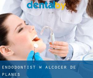Endodontist w Alcocer de Planes