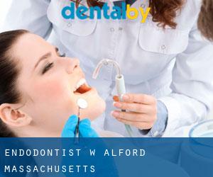 Endodontist w Alford (Massachusetts)