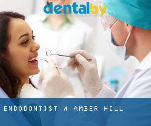 Endodontist w Amber Hill