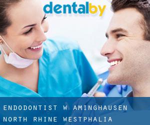 Endodontist w Aminghausen (North Rhine-Westphalia)