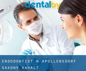 Endodontist w Apollensdorf (Saxony-Anhalt)