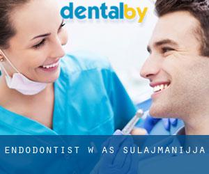 Endodontist w As-Sulajmanijja