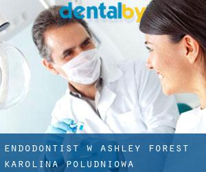 Endodontist w Ashley Forest (Karolina Południowa)
