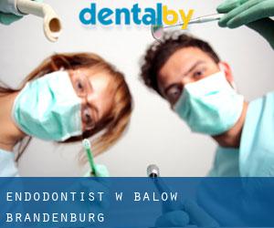 Endodontist w Bälow (Brandenburg)
