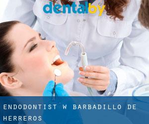 Endodontist w Barbadillo de Herreros