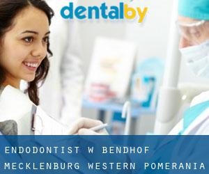 Endodontist w Bendhof (Mecklenburg-Western Pomerania)