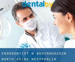 Endodontist w Bödinghausen (North Rhine-Westphalia)
