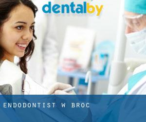 Endodontist w Broc