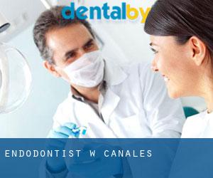 Endodontist w Canales
