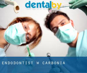 Endodontist w Carbonia