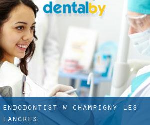 Endodontist w Champigny-lès-Langres