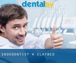 Endodontist w Claybed