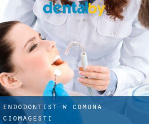 Endodontist w Comuna Ciomăgeşti