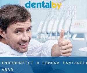 Endodontist w Comuna Fântânele (Arad)