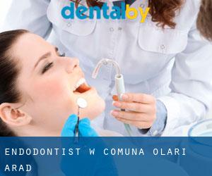 Endodontist w Comuna Olari (Arad)