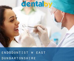 Endodontist w East Dunbartonshire