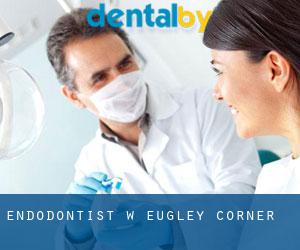 Endodontist w Eugley Corner