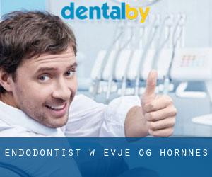 Endodontist w Evje og Hornnes