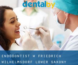 Endodontist w Friedrich Wilhelmsdorf (Lower Saxony)