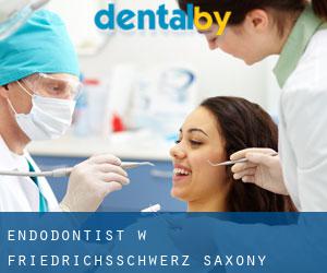 Endodontist w Friedrichsschwerz (Saxony-Anhalt)