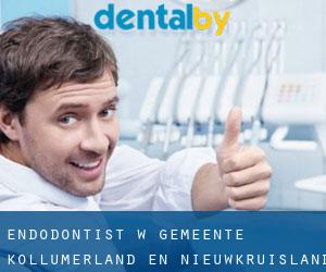 Endodontist w Gemeente Kollumerland en Nieuwkruisland
