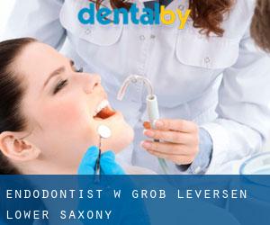 Endodontist w Groß Leversen (Lower Saxony)
