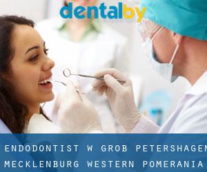 Endodontist w Groß Petershagen (Mecklenburg-Western Pomerania)