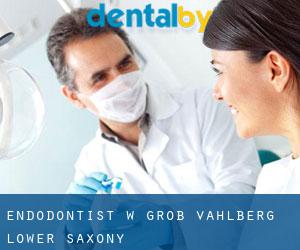 Endodontist w Groß Vahlberg (Lower Saxony)