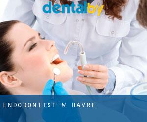 Endodontist w Havre