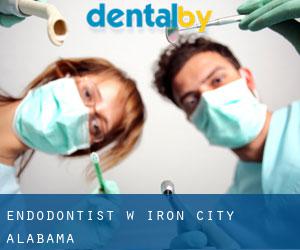 Endodontist w Iron City (Alabama)