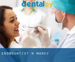 Endodontist w Maney