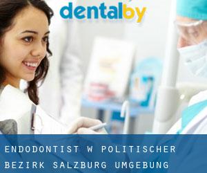 Endodontist w Politischer Bezirk Salzburg Umgebung