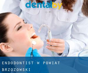 Endodontist w Powiat brzozowski