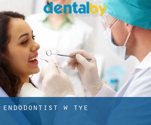 Endodontist w Tye