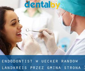 Endodontist w Uecker-Randow Landkreis przez gmina - strona 1