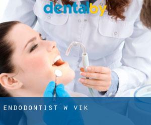 Endodontist w Vik