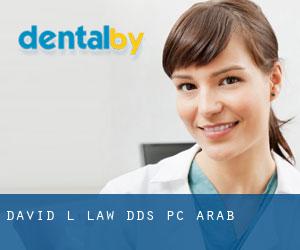David L Law, DDS ,PC (Arab)